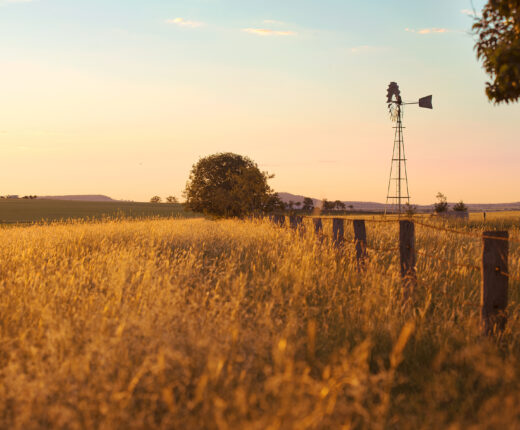 Windmill,In,The,Outback,Of,Queensland