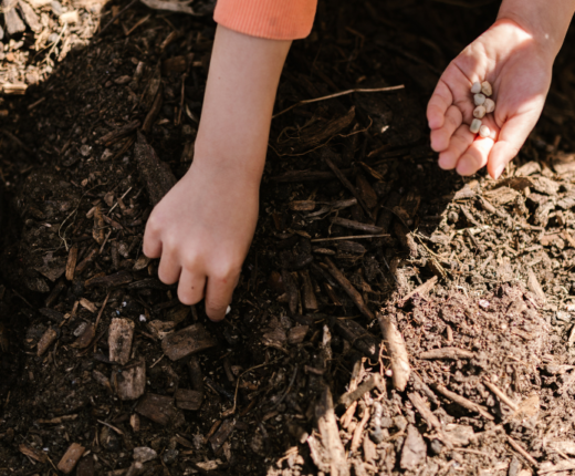 2502 Re ACT CQ Case Study 2