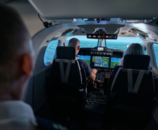 RFDS Simulator Safari29